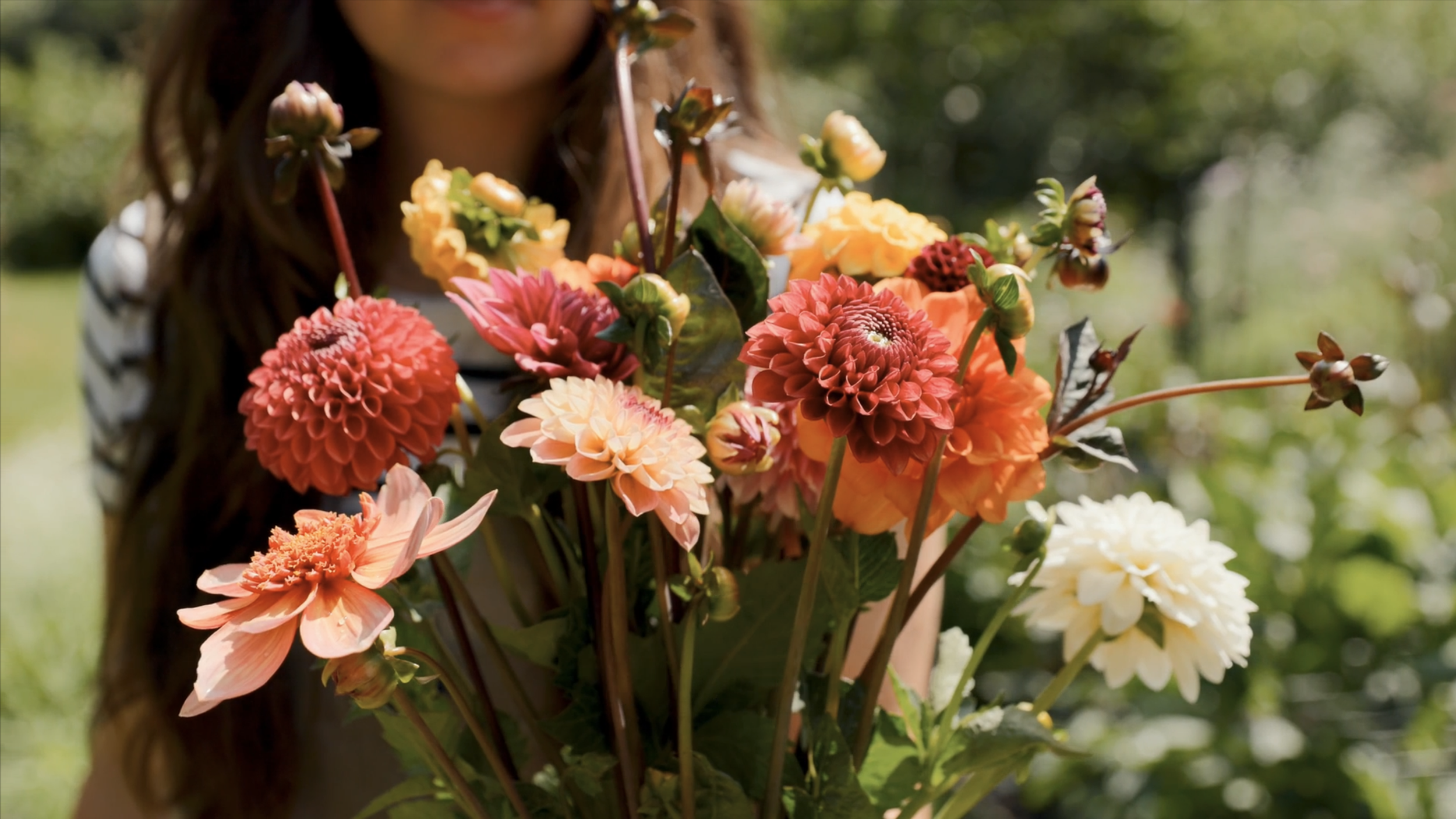 Plukkers.com productie