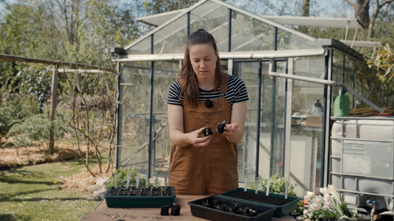 De Groene Makers productie