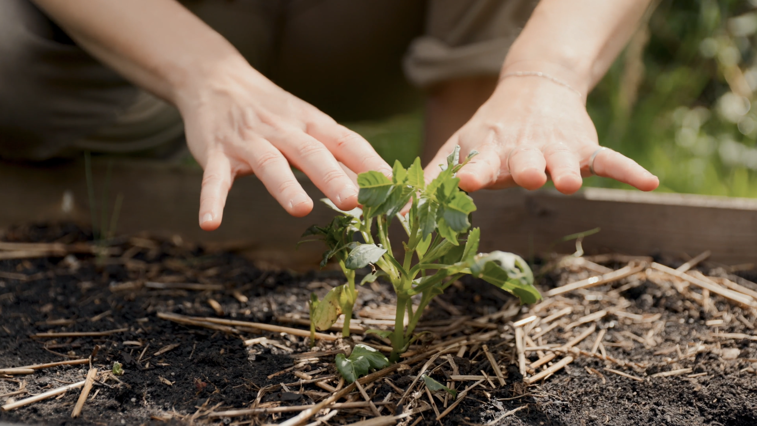 Plukkers.com productie