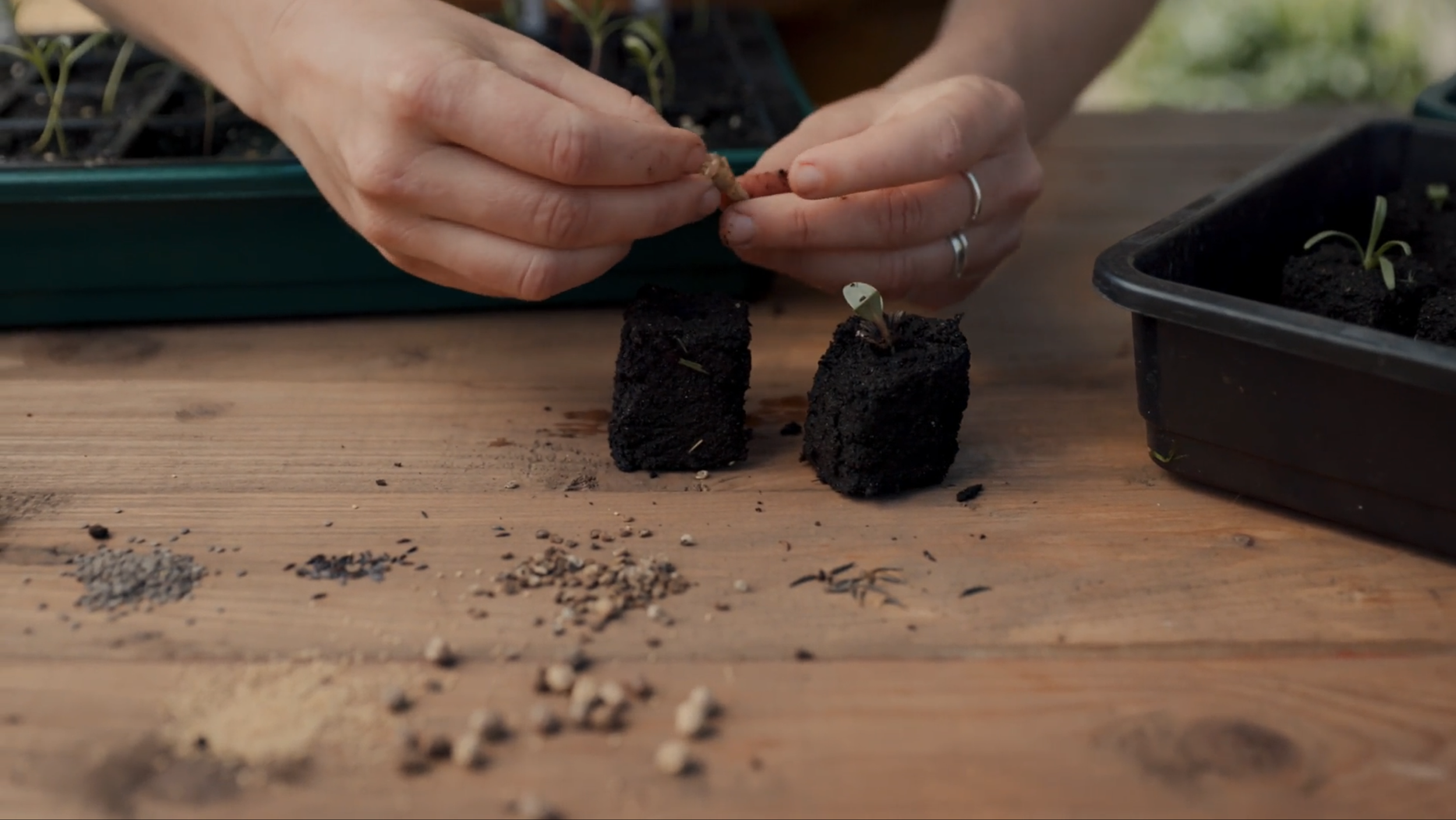 Plukkers.com productie