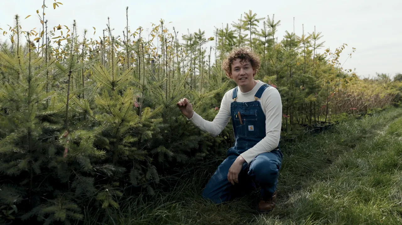 De Groene Makers productie