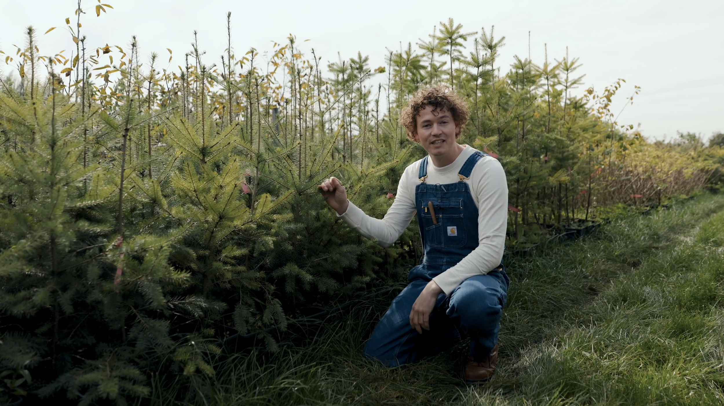 Plukkers.com productie